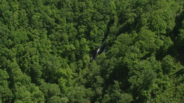 WS AERIAL POV蓝岭山脉与森林地区和Amicalola瀑布/吉尔默县，道森县，美国乔治亚州视频素材