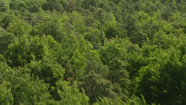 森林区域/克雷文县，北卡罗来纳州，美国的WS AERIAL POV视图视频素材