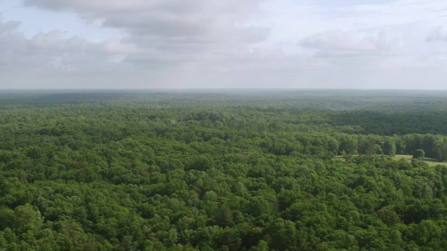 WS AERIAL POV视图的乡村景色与树木区域/弗雷德里克斯堡，弗吉尼亚，美国视频素材