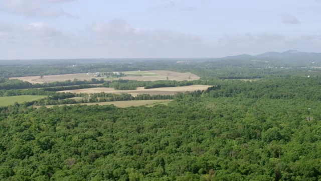 WS AERIAL POV视图的乡村景色与树木区域/ Shenandoah，弗吉尼亚，美国视频素材