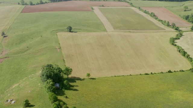 WS AERIAL POV有绿色田野和树木的农村地区/ Shenandoah, Virginia，美国视频素材