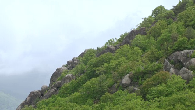 美国弗吉尼亚州谢南多厄国家公园山顶上的树木和花岗岩视频素材