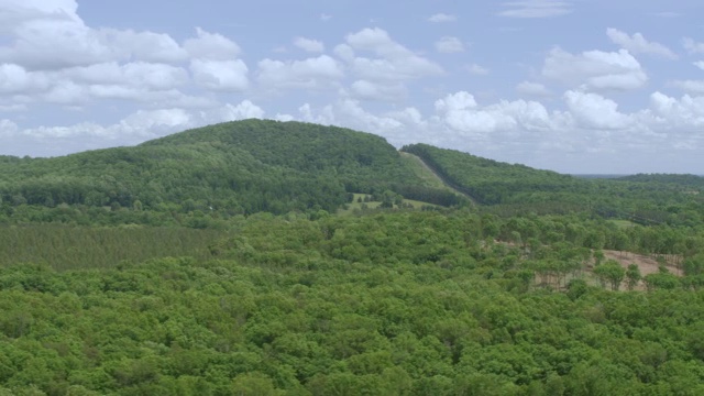 WS AERIAL POV在丘陵景观上的树木区域视图/ Albemarle县，弗吉尼亚州，美国视频素材