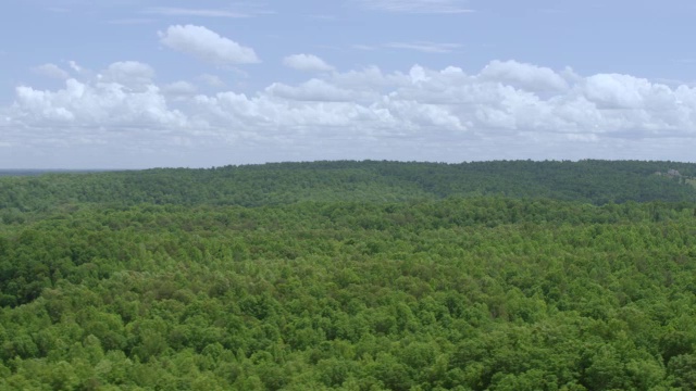 WS AERIAL POV郁郁葱葱的地区与多云的天空/阿尔伯马尔县，弗吉尼亚州，美国视频素材