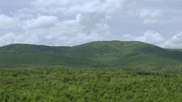 WS AERIAL POV在丘陵景观上郁郁葱葱的地区的视图/阿尔伯马尔县，弗吉尼亚州，美国视频素材