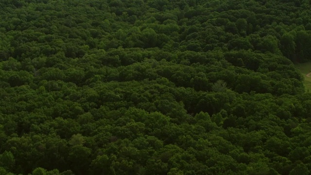 WS AERIAL TU POV以山脉为背景的郁郁葱葱的地区/卡罗尔县，弗吉尼亚州，美国视频素材