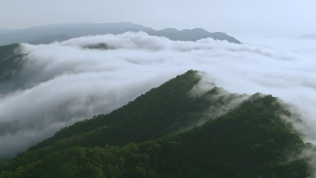 美国田纳西州，斯莫基山，卡特县上空的雾视频素材