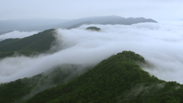 WS航拍视角的烟山与森林区域和雾/卡特县，田纳西州，美国视频素材