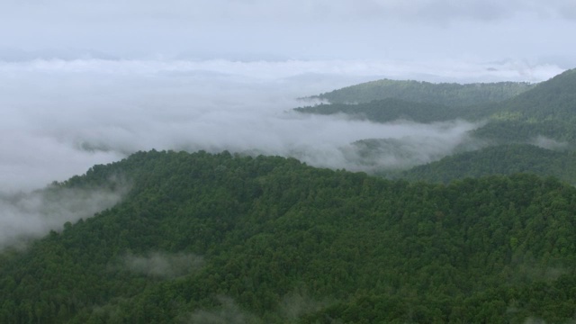 WS航空POV视图与森林地区和雾在山谷/米切尔县，北卡罗来纳州，美国视频素材