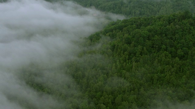 WS航空POV视图与森林地区和雾在山谷/米切尔县，北卡罗来纳州，美国视频素材