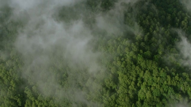 WS AERIAL POV视图与山谷槽雾，河流弯曲和房屋看到在远处/米切尔县，北卡罗来纳州，美国视频素材