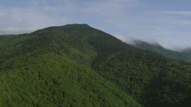 美国北卡罗莱纳的烟山与森林区域/燕西县的WS空中视角视频素材