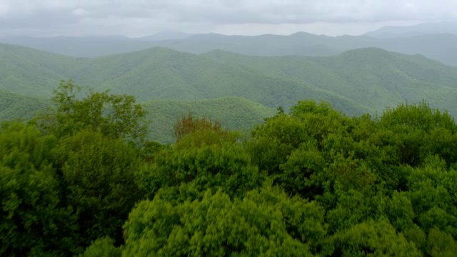 WS AERIAL POV视图森林区域与斯莫基山脉的背景/切诺基，北卡罗来纳州，美国视频素材