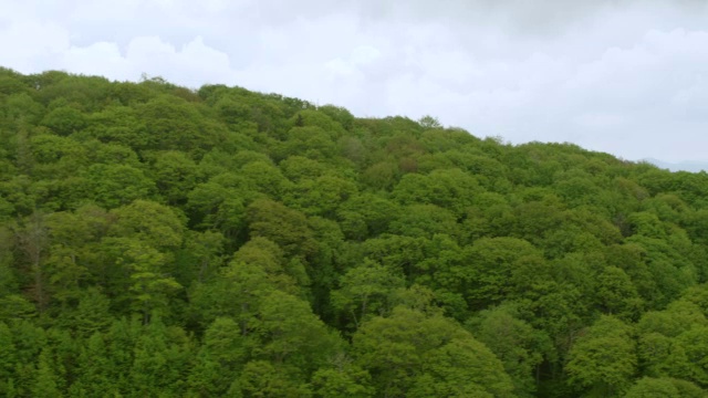 WS AERIAL POV森林区域与云天空的背景/切诺基，北卡罗来纳州，美国视频素材