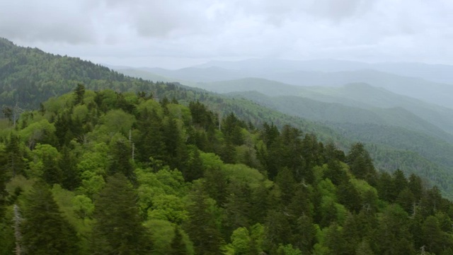 WS AERIAL POV视图森林区域与斯莫基山脉的背景/切诺基，北卡罗来纳州，美国视频素材