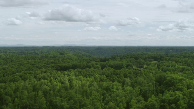 WS AERIAL POV河穿过森林地区/普特南县，田纳西州，美国视频素材