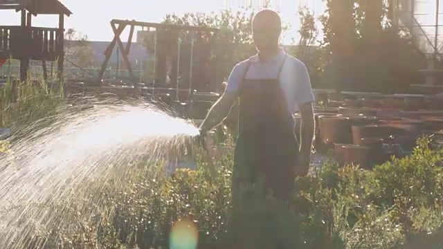 有人在花园中心给植物浇水视频下载