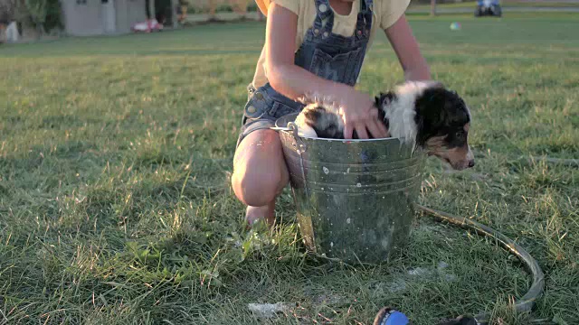 夏天洗澡的时间视频素材