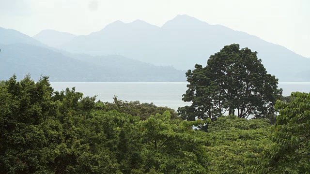 沿海山脉和雨林/马来西亚视频素材