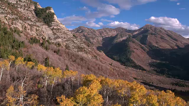 鸟瞰图的色彩斑斓的森林在山区在秋天。视频素材