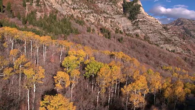 鸟瞰图的色彩斑斓的森林在山区在秋天。视频素材