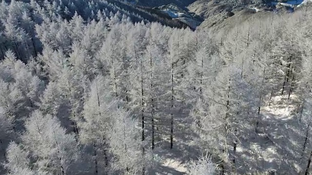 韩白山(江原道省东部最高的山)雪景鸟瞰图视频素材