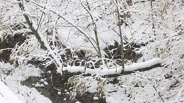 极端天气-简介:大雪视频素材