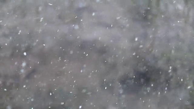 极端天气-简讯:白色雪视频素材