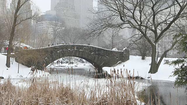 纽约中央公园下雪视频下载