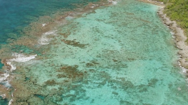 WS AERIAL POV莫纳岛清澈海水下的珊瑚礁海岸线/莫纳岛，波多黎各，美国视频素材