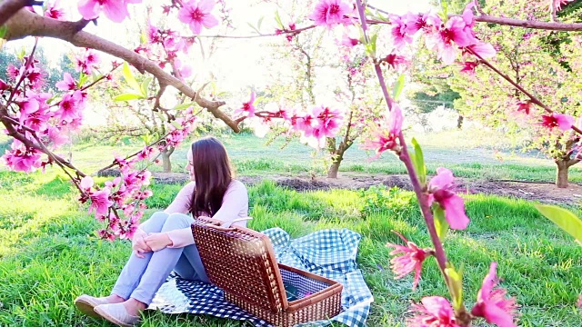 这是一个女孩在加泰罗尼亚乡村盛开的粉红色树木之间享受野餐时光的瞬间，温暖的色彩和光线，自然的瞬间。粉色花朵和昆虫的软运动镜头创造了一个很好的效果视频素材