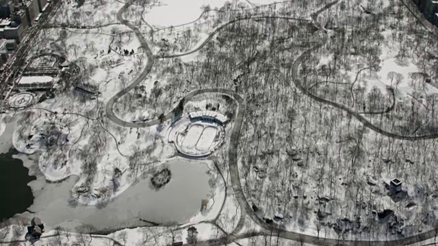 鸟瞰图哈林区街道平移到中央公园与雪在纽约市视频素材