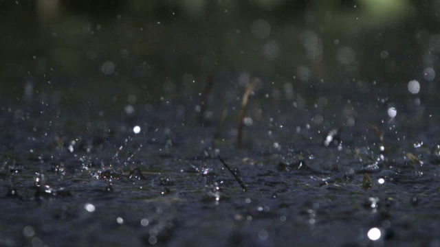 雨滴落进池塘，英国视频素材