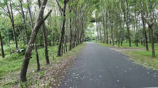 稳定拍摄的外部视图从前面的汽车行驶在泰国的乡村道路视频素材