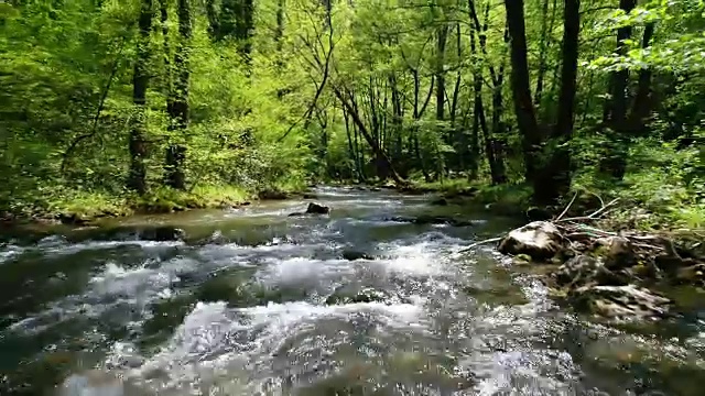 山区河流流动视频素材