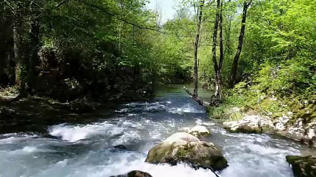 山河绿林视频素材