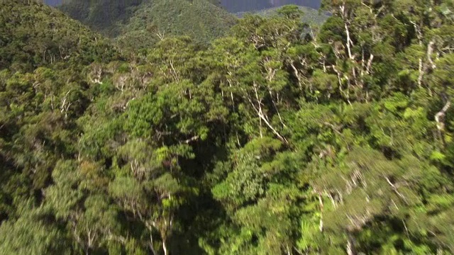 空中飞过森林覆盖的山脉，马达加斯加视频素材