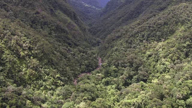 鸟瞰森林覆盖的河谷，马达加斯加视频素材