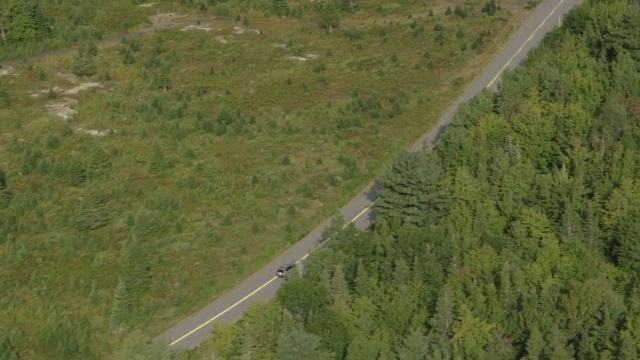 汽车在乡村道路上行驶的天线。林中的树林中的树湖。视频素材