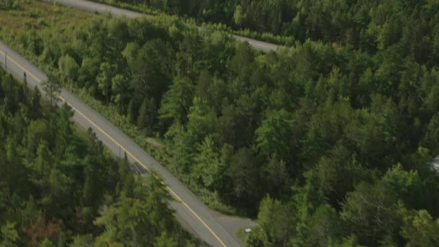 汽车在乡村道路上行驶的天线。林中的树林中的树农田，田野和草地。湖。视频素材