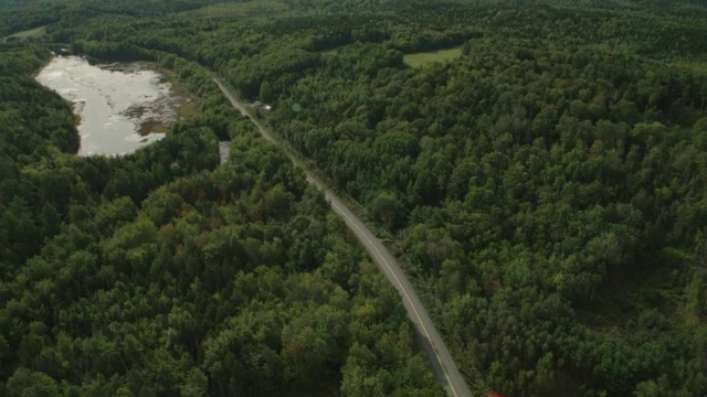 汽车在乡村道路上行驶的天线。林中的树林中的树湖。视频素材