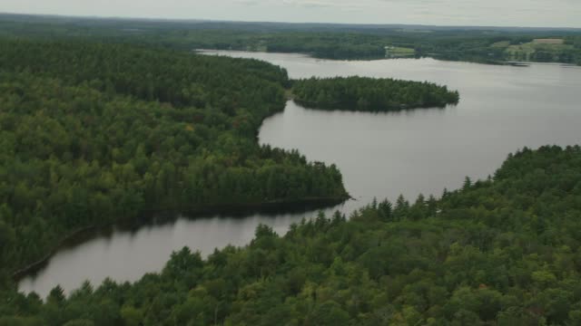 在农村或农村地区的湖泊的空中。字段或草地。森林中的树林中的树视频素材