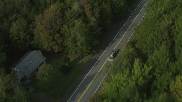 汽车在乡村或农村地区道路上行驶的天线。森林中的树林中的树视频素材