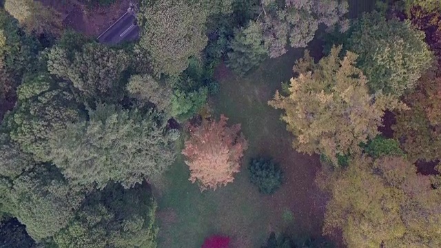 鸟瞰澳大利亚维多利亚州的秋天，色彩斑斓的树木和风景视频素材