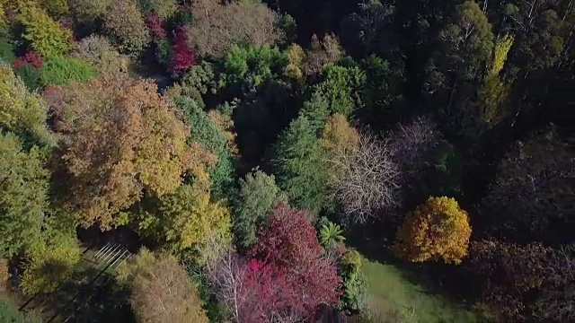 鸟瞰澳大利亚维多利亚州的秋天，色彩斑斓的树木和风景视频素材