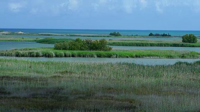 埃布罗三角洲，Terres de L'Ebre，塔拉戈纳，加泰罗尼亚，西班牙，欧洲视频素材