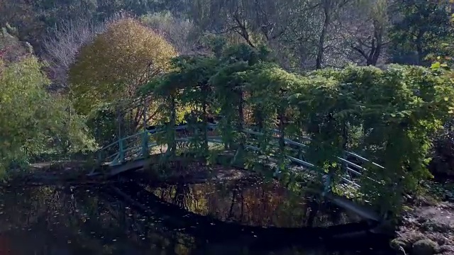 鸟瞰低角度的湖泊，树木和一座桥在秋天，维多利亚，澳大利亚视频素材