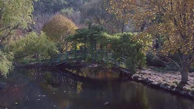 鸟瞰低角度的湖泊，树木和一座桥在秋天，维多利亚，澳大利亚视频素材