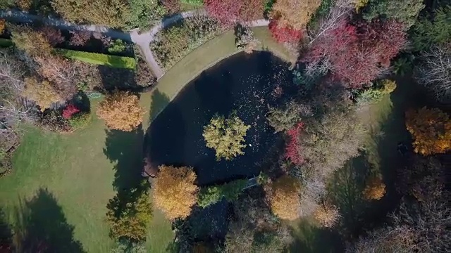 鸟瞰图的色彩斑斓的树与一个湖在秋天，维多利亚，澳大利亚视频素材