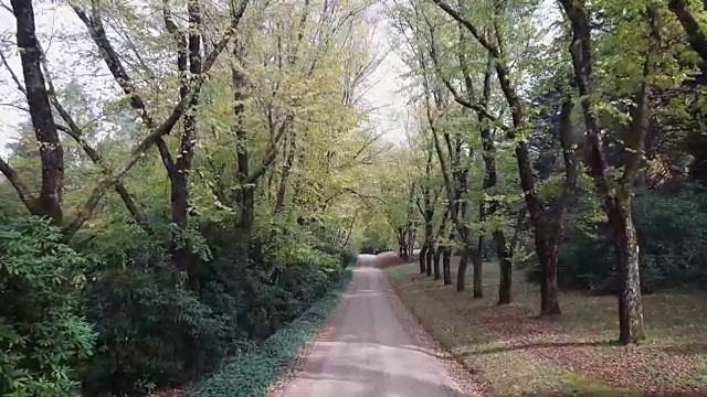 鸟瞰图绿色和黄色的树木在泥泞的道路在秋天，维多利亚州，澳大利亚视频素材